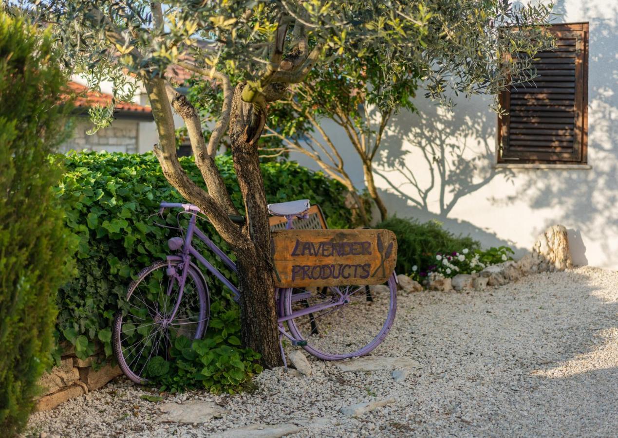 Sveti Lovreč Pazenatički Lavanda Apartments & Room מראה חיצוני תמונה